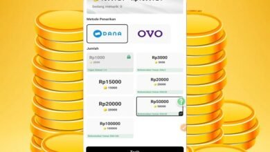 dompet elektronik ovo