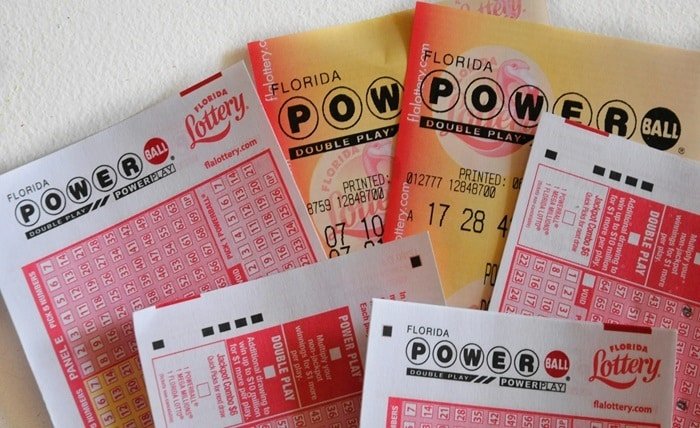 lottery lottery lotology