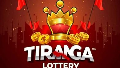 Tiranga Game